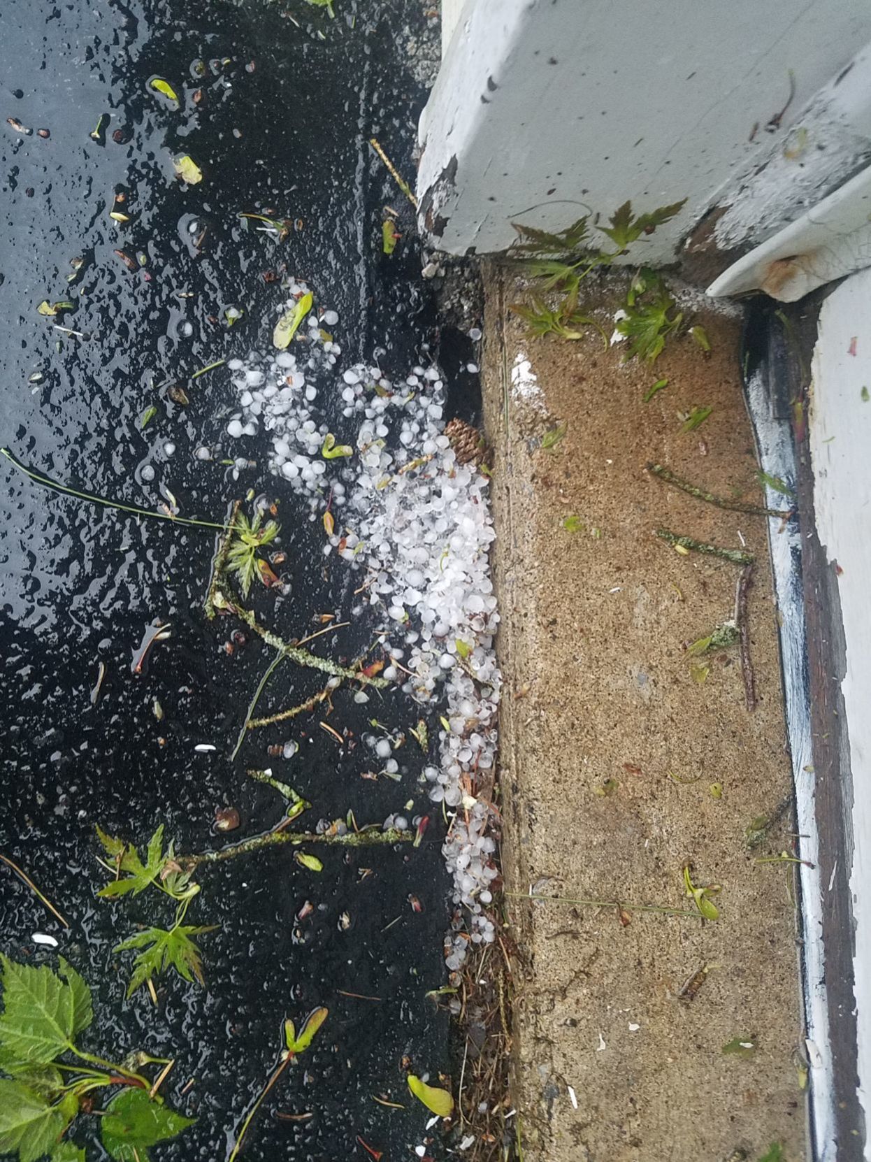 pea size hail